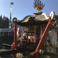 2019年渋草八幡神社神輿渡御